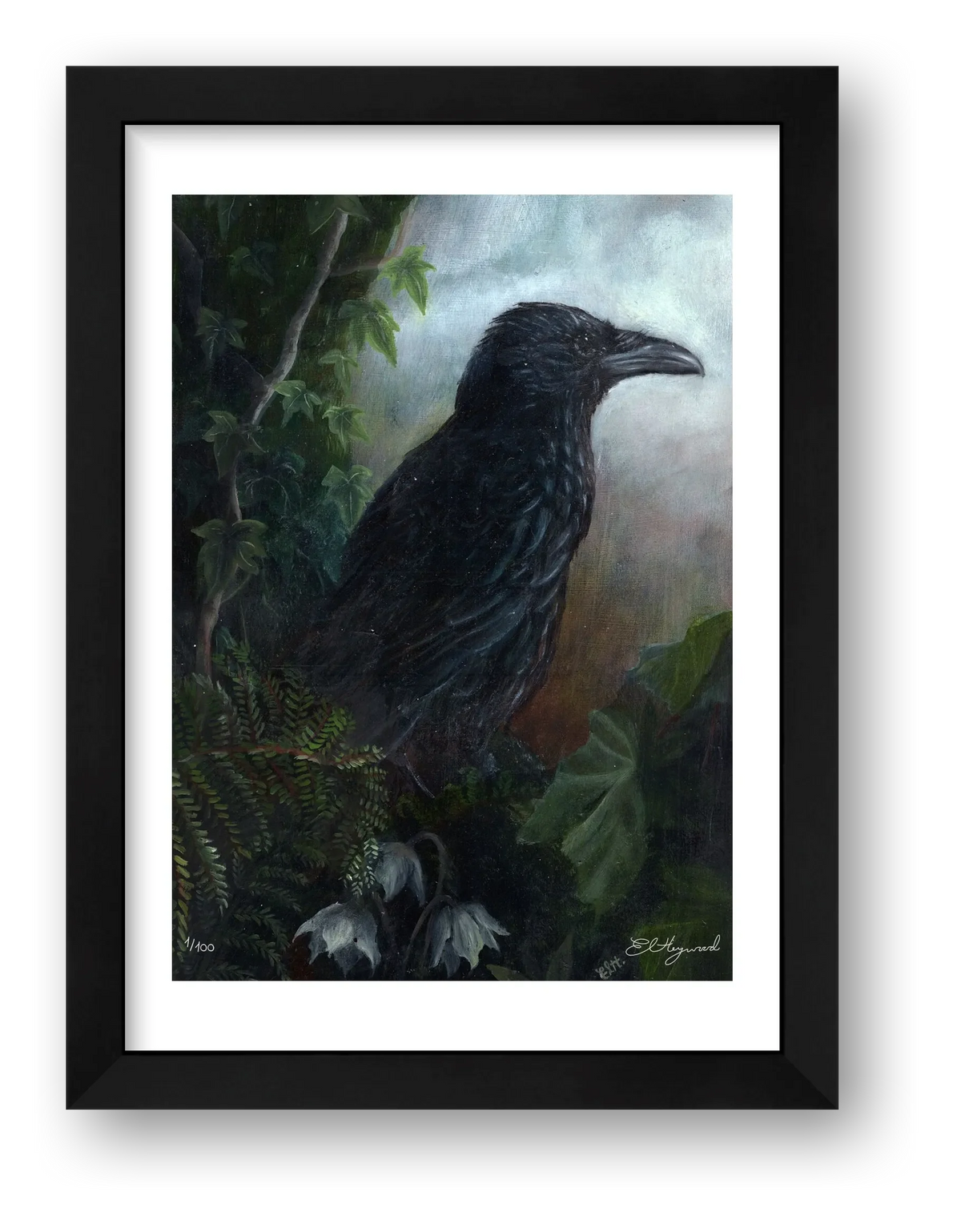 crow 14 x 21 inches — framed
