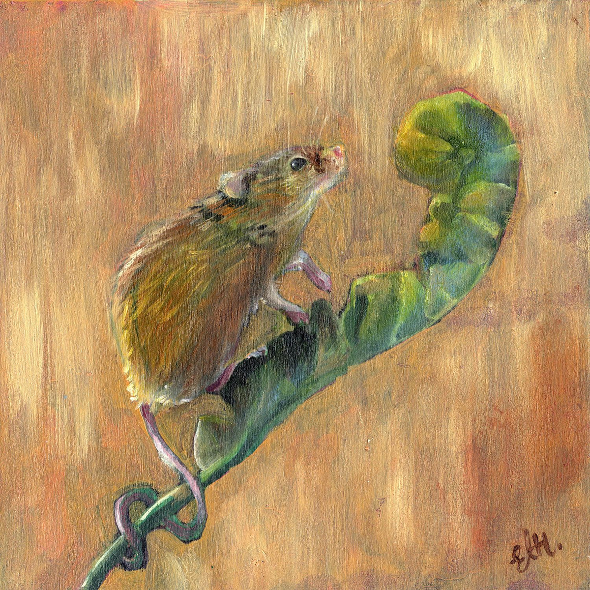Harvest Mouse 20 inches