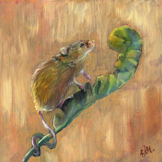 Harvest Mouse 20 inches