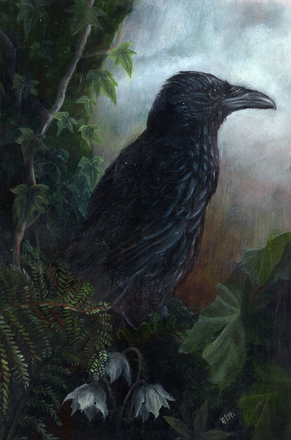crow 14 x 21 inches