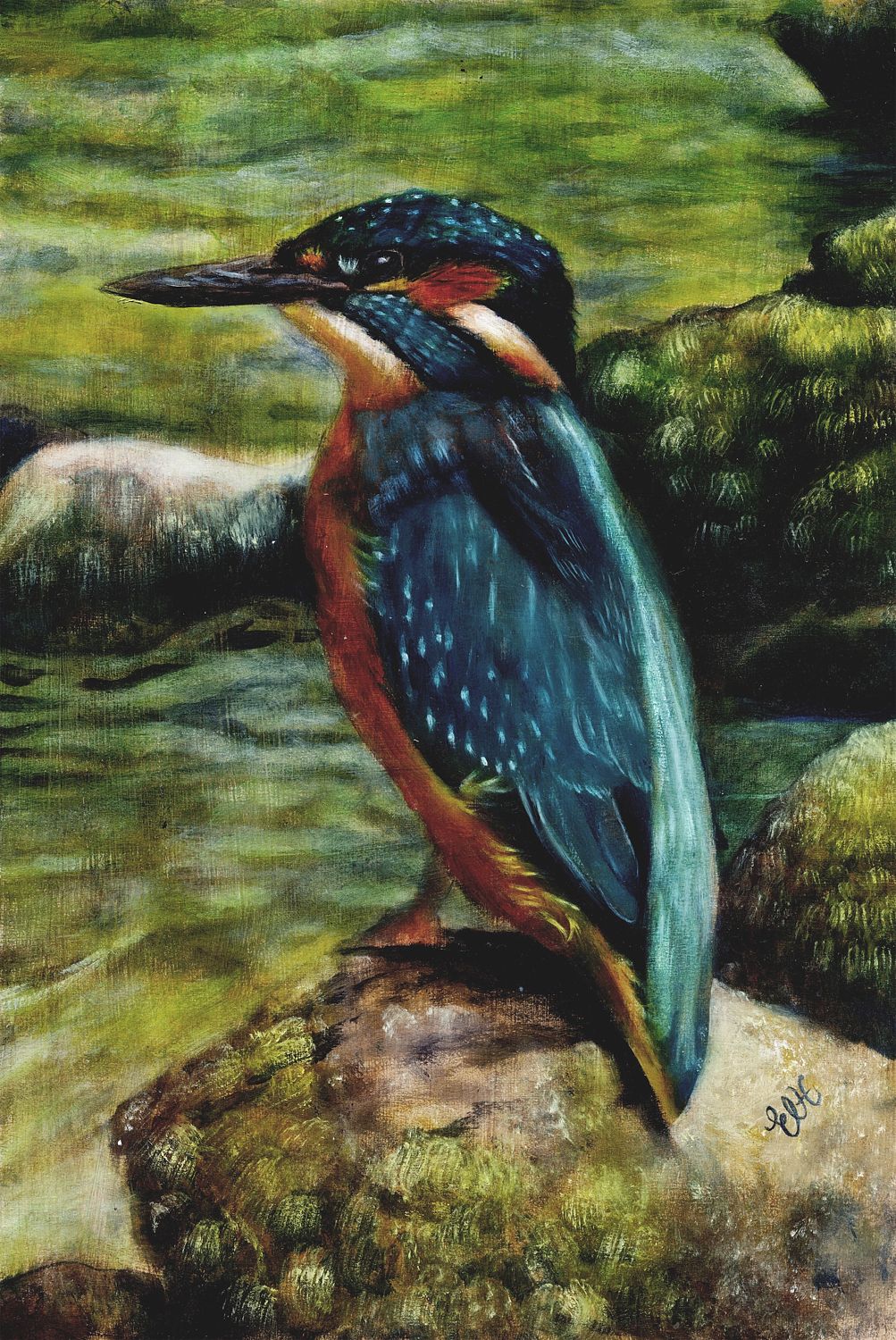 Kingfisher 14 x 20.9 inches copy