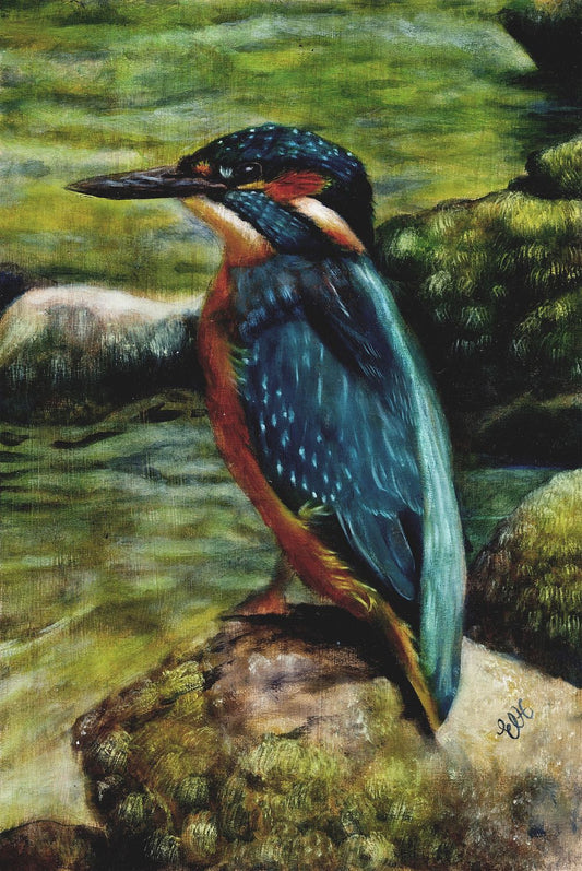 Kingfisher 14 x 20.9 inches copy