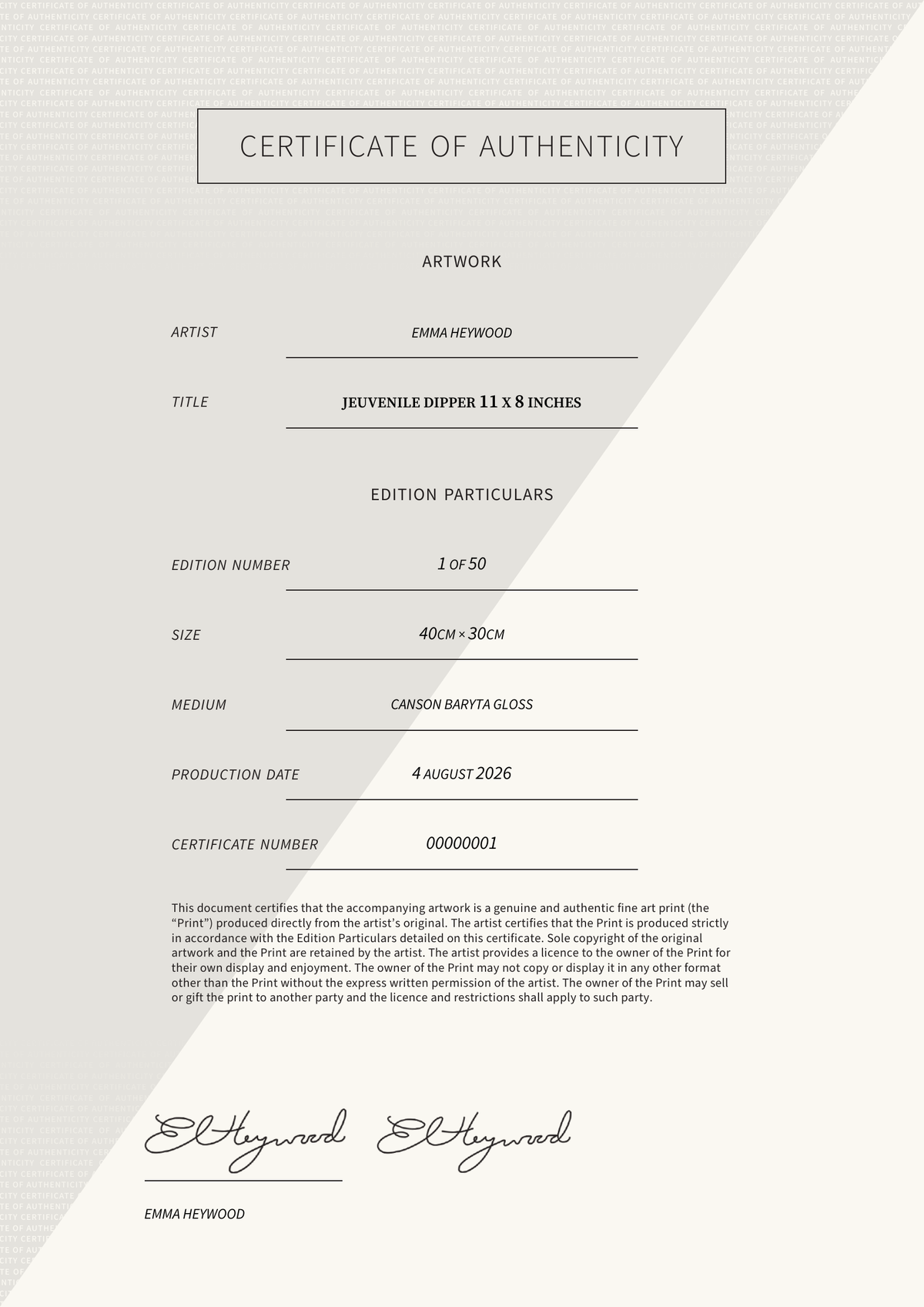 Jeuvenile dipper 11 x 8 inches — Certificate of Authenticity