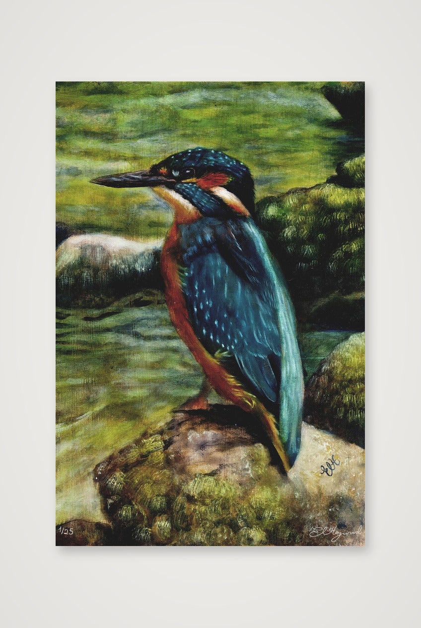 Kingfisher 14 x 20.9 inches copy — 40×60cm, 16×24" Print only