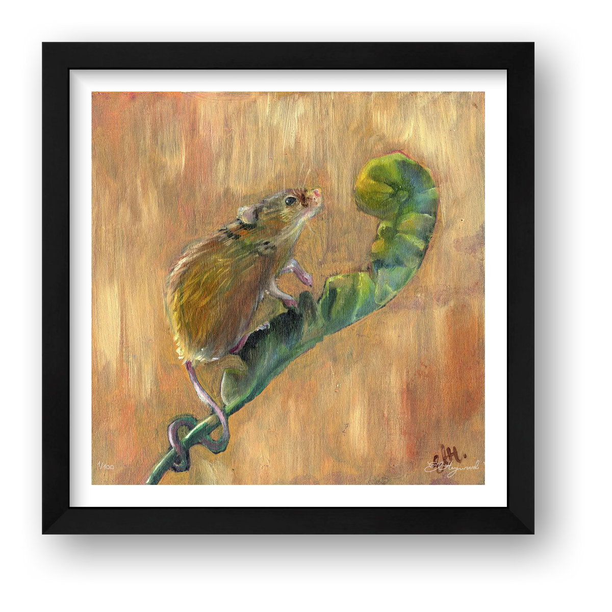 Harvest Mouse 20 inches — framed