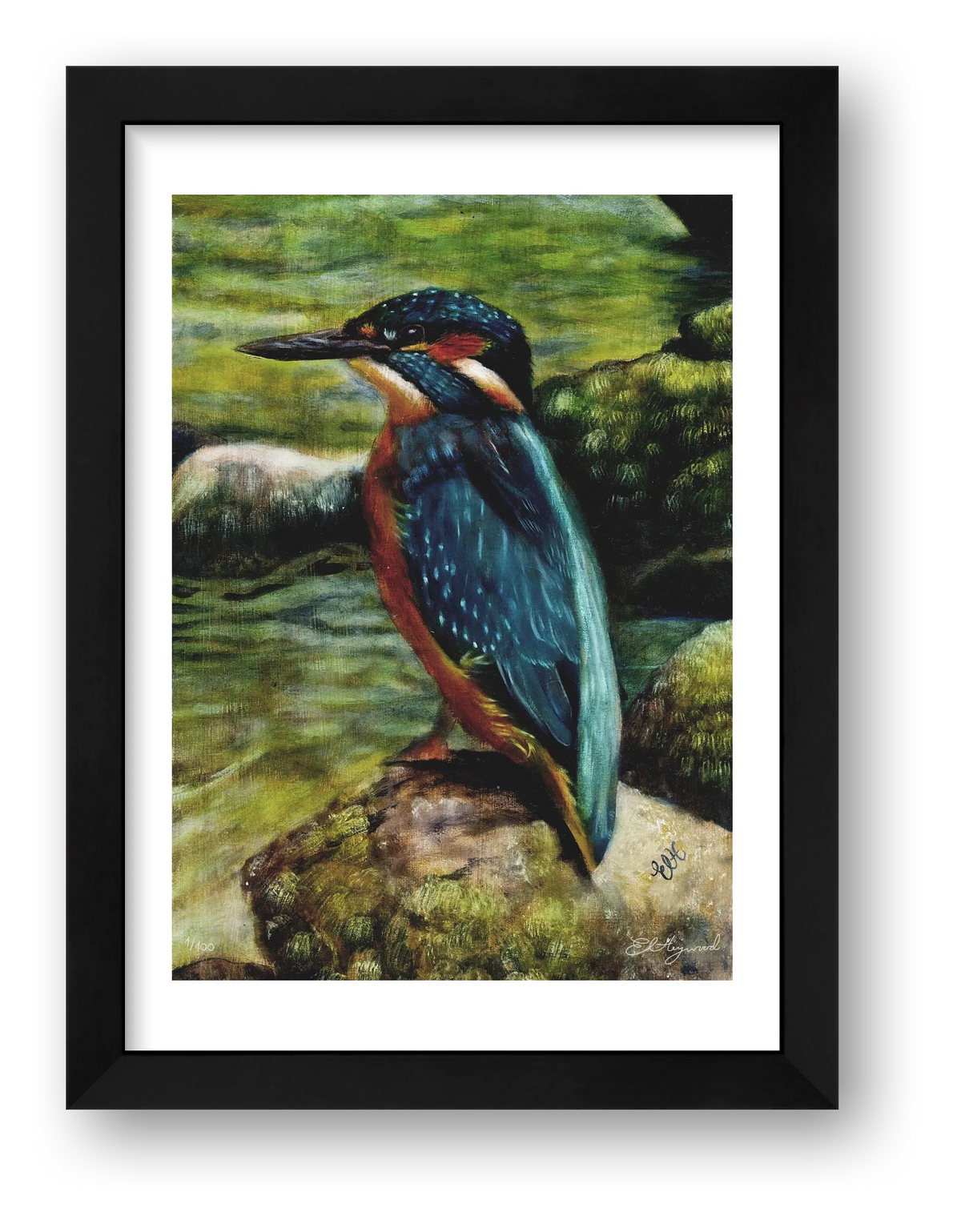 Kingfisher 14 x 20.9 inches copy — framed