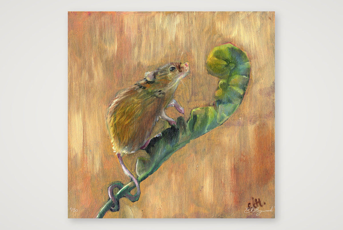 Harvest Mouse 20 inches — 40×40cm, 16×16" Print only