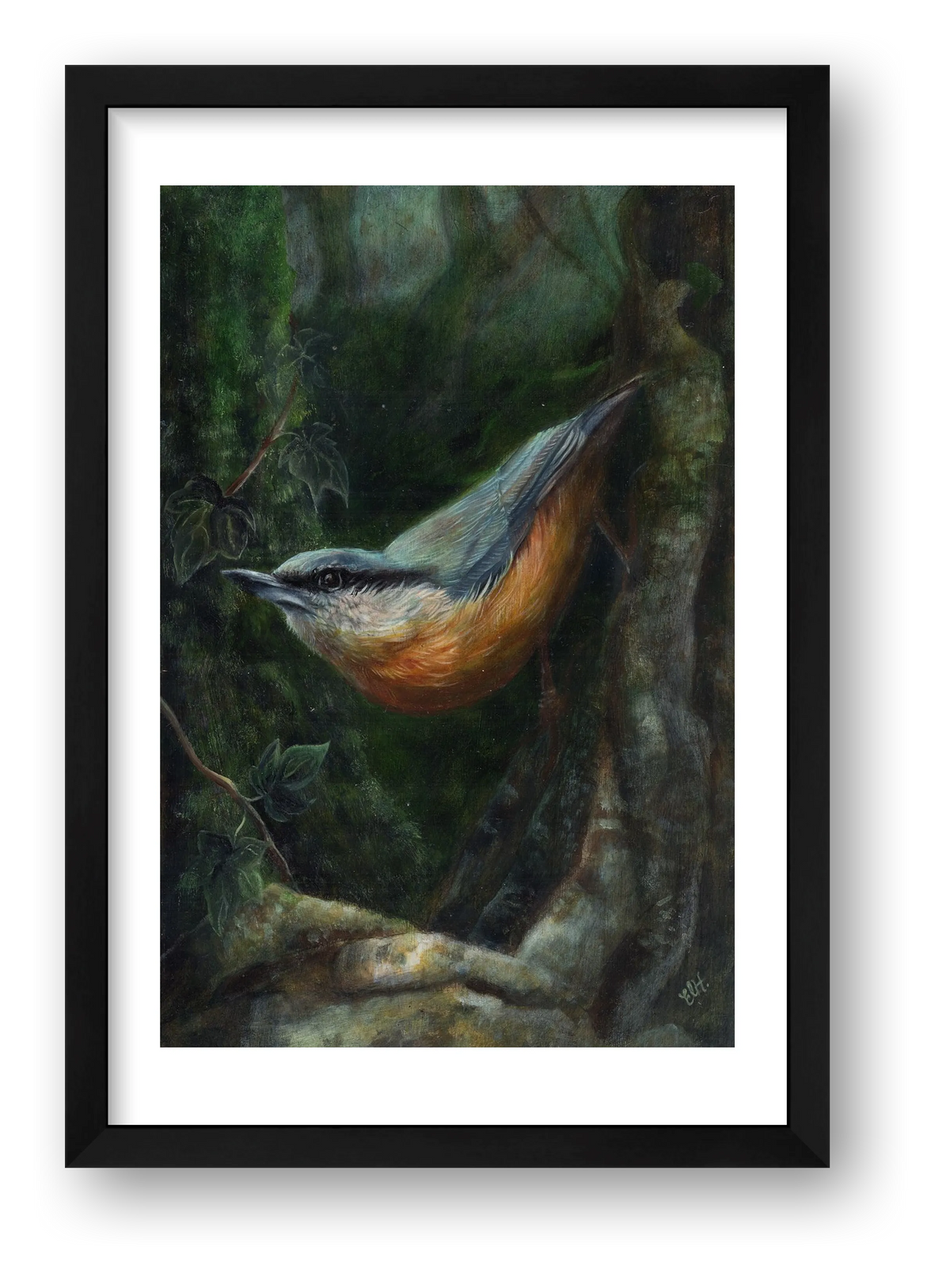 Nuthatch Fine Art Print — framed