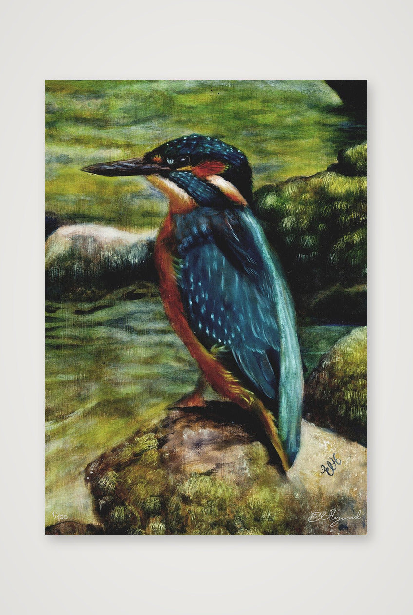 Kingfisher 14 x 20.9 inches copy — A4 (21×30cm, 8×12") Print only